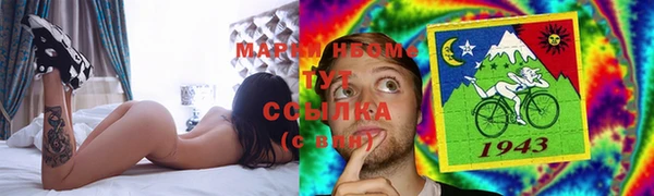 PSILOCYBIN Алзамай