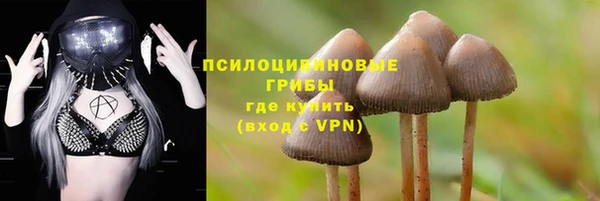 дмт Алексин