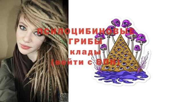 PSILOCYBIN Алзамай