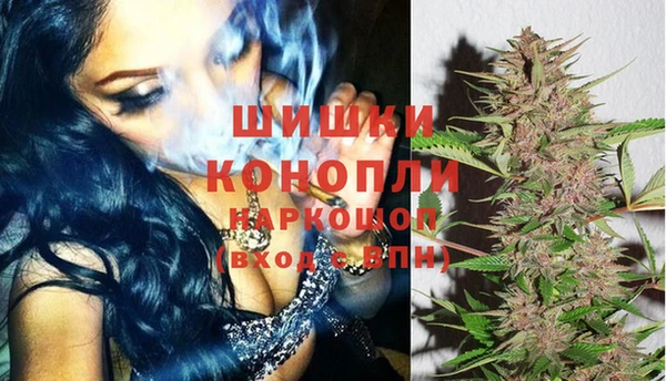 PSILOCYBIN Алзамай