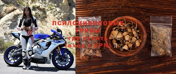 PSILOCYBIN Алзамай