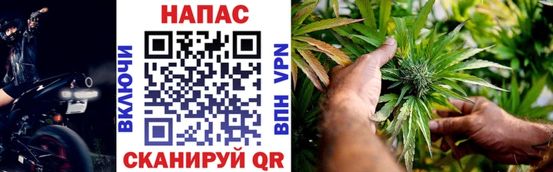 купить   Бирюсинск  blacksprut как зайти  Бошки марихуана конопля 